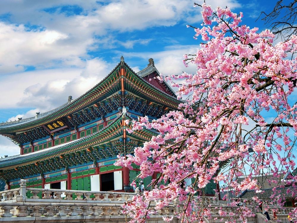 Viaggio in Corea del Sud